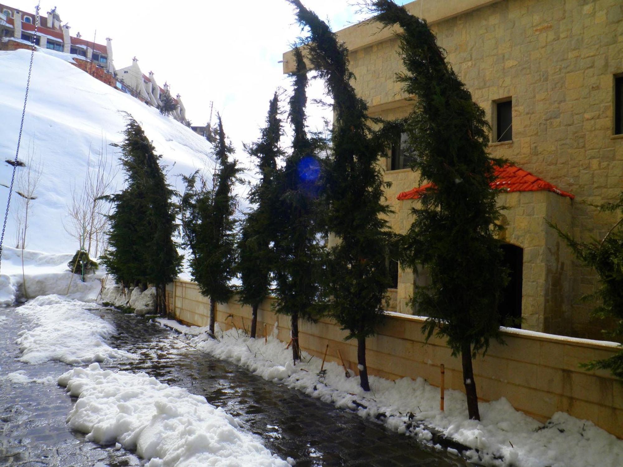 Stone Chalets Fārayyā Zewnętrze zdjęcie